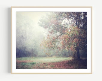 Tree Photography Print Autumn Landscape Photograph, Moody, Fine Art Photography, 8x10 16x20, Meadow, Rustic Nature Photography