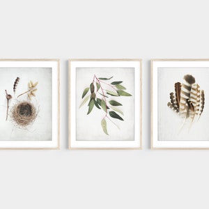 Set of Three Photography Prints / Save 30% / 3 Prints / Custom Set image 3