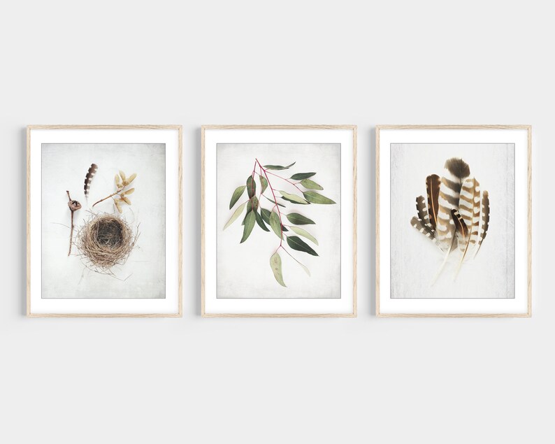 Set of Three Photography Prints / Save 30% / 3 Prints / Custom Set image 3