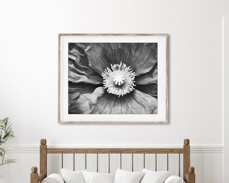 Poppy Flower Print Botanical Print, Black and White Photography, Gray Black White, Floral Wall Art, Poppy Print, Nature Photography image 3