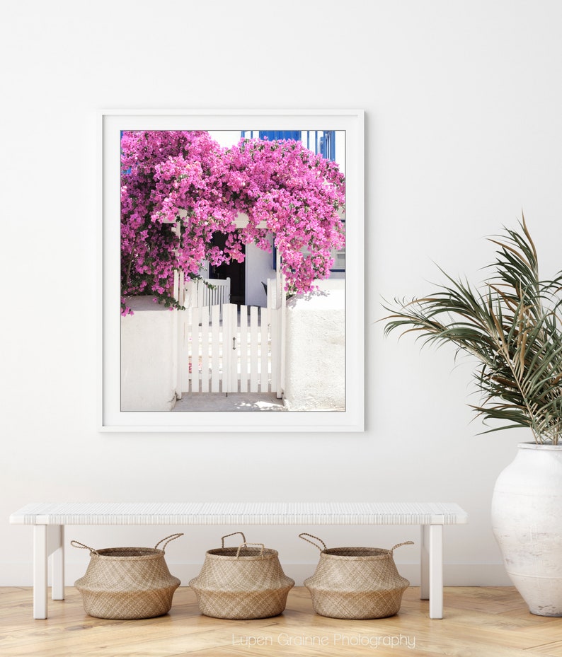 Greece Wall Art Bougainvillea Flowers Travel Photography | Etsy