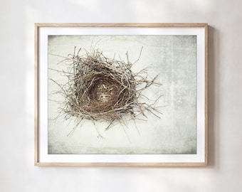 Fotografía de nido de pájaro, lámina decorativa de historia natural para pared.