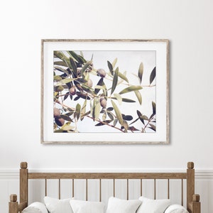 Olive Branch Botanical Print Nature Photography, Olive Leaves Wall Art, Farmhouse Kitchen Decor, Dining Room Art, Botanical Print image 3