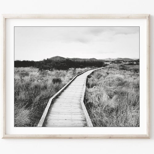Oak Tree Photograph Black and White Wall Art Landscape Etsy
