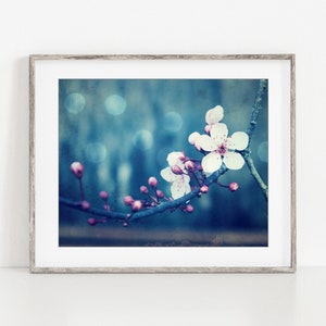 Botanical Photography Plum Blossoms Print, Flower Photography, Pink Blue Wall Art, Floral Wall Art, 8x10 8x8 11x14, Indigo Blue Art image 7