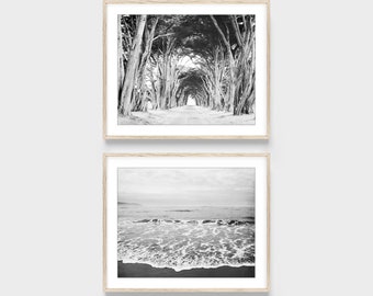 Black and White Photography, Set of Two Prints, Coastal Wall Art,  Northern California, 8x10 11x14, Ocean, Cypress Trees, Print Set