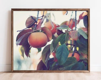 Persimmon Photograph - Botanical Wall Art, Fuyu Persimmon Print, Fruit Tree Photograph, Orange Rust Green Dining Room Wall Art