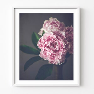 Peony Flower Print Flower Still Life Photography Print, Nature Photography, Bedroom Wall Art, Peony Photograph, 8x10 16x20, Floral Wall Art