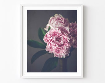 Peony Flower Print Flower Still Life Photography Print, Nature Photography, Bedroom Wall Art, Peony Photograph, 8x10 16x20, Floral Wall Art