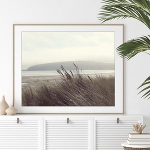 Beach Photography Coastal Wall Art, Neutral Beach Decor, Nature Photography, Gray Brown Taupe, Beach Grass Print, 8x10 16x20 Print image 3