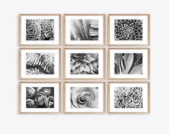 Botanical Gallery Wall Art - Set of 9 Black and White Photography Prints Flowers and Leaves 8x10 11x14 Prints - Save 50%