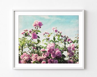Roses Photograph, Botanical Print, Flower Photography, Pink Aqua, Floral Wall Art, Shabby Chic Decor, 8x10 16x20, Bedroom Wall Art