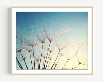 Blue Nature Photography - Dandelion Print, Botanical Photography, Blue Gold Beige Wall Art, , Bedroom Wall Art, Fine Art Photography Print