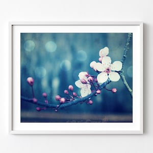 photograph of pink plum blossom flowers and buds on the branch against a deep blue background