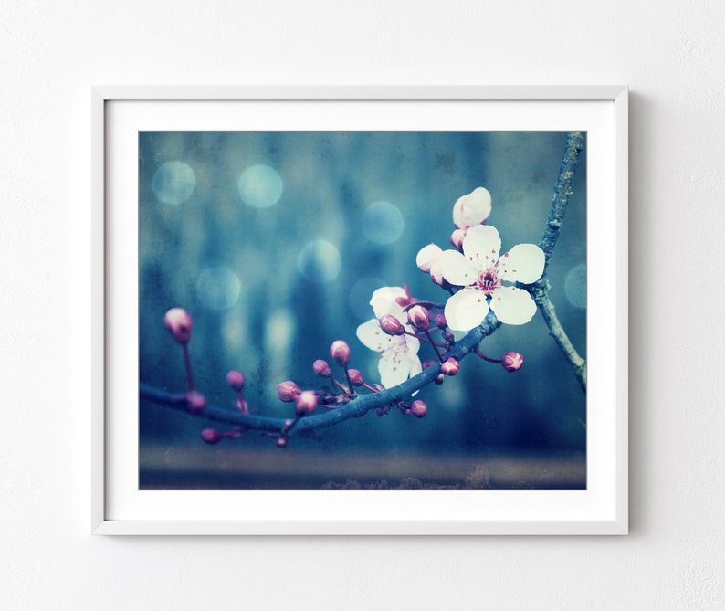 photograph of pink plum blossom flowers and buds on the branch against a deep blue background