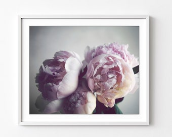 Peony Photography - Flower Still Life, Pink Wall Art, Peony Print, Floral Wall Art, Botanical Print, 8x10 16x20, Pale Blush Pink Gray Art