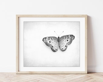 Butterfly Print - Black and White Photography, Minimalist Modern Decor, Nature Photography, Contemporary, 8x10 8x12 11x14 Print