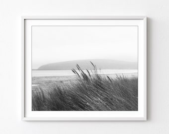 Beach Photography, Seascape Print, Beach Grass, Black and White Photography, Gray Coastal Wall Art