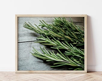 Rosemary Wall Art Print - Rustic Kitchen Decor, Farmhouse Country Kitchen Art, Green Gray Food Photography 8x10 11x14 Fresh Herbs Print