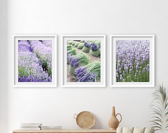 Lavender Field Prints - Purple Wall Art, Set of 3 Prints, Farmhouse Decor, Lavender Flowers, 8x10 16x20, Flower Triptych, Nature Photography