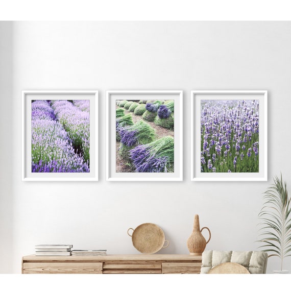 Lavender Field Prints / Set of Three Prints / Purple Wall Art / Flower Photography - Save 30%
