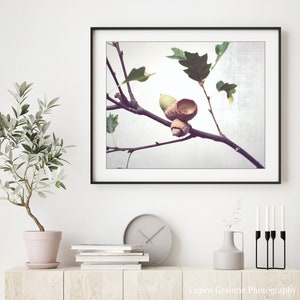 Acorn Photography, Oak Tree Branch Print, Neutral Wall Art, Autumn Fall Photography, Minimal Rustic Still Life Photography, 8x10 11x14 12x16 image 2