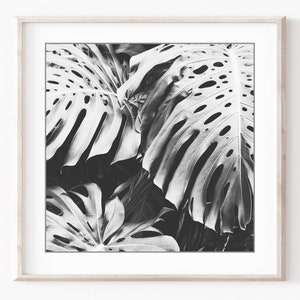 Conjunto de impresión botánica, fotografía en blanco y negro, hojas de flores, conjunto de 9 impresiones, fotografía de naturaleza, conjunto de pared de galería, impresiones 5x5 8x8 imagen 4