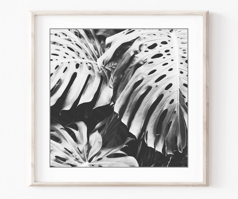 Conjunto de impresión botánica, fotografía en blanco y negro, hojas de flores, conjunto de 9 impresiones, fotografía de naturaleza, conjunto de pared de galería, impresiones 5x5 8x8 imagen 4