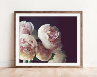 Peony Wall Art - Flower Still Life Photography Floral Pale Pink Botanical Print