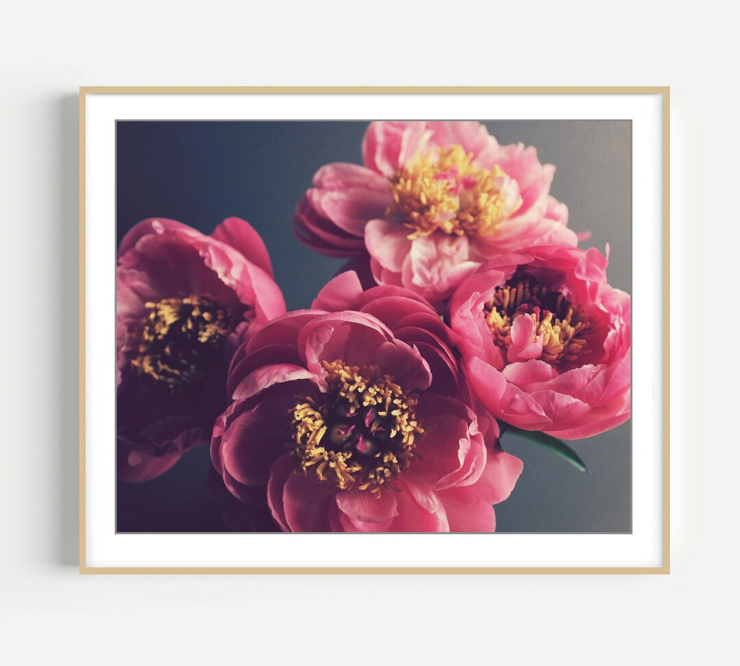Pink Peony Flower Print Botanical Wall Art Elegant Bedroom Decor Floral ...