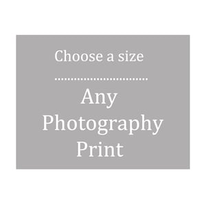 Fine Art Photography Print Sizes 5x5, 8x8, 11x14 up to 30x40 image 1