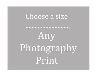 Fine Art Photography Print -  Sizes  5x5, 8x8, 11x14 up to  30x40