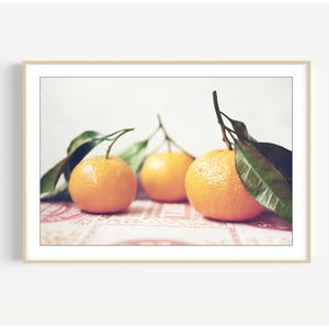 Oranges Still Life Print Tangerines Citrus Photography Kitchen Art Food Photograph Dining Room Wall Art