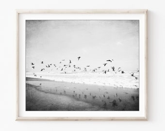 Beach Print Black and White Photography Wall Art, Seagulls, Nature photography, Ocean Print, 8x10 16x20 Print, Coastal Wall Art