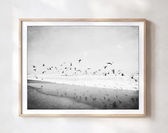 Seagulls Beach Print - Black and White Ocean Coastal Nature Photography 8x10 11x14 16x20 Print