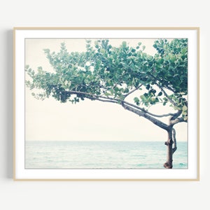 Ocean Print Maui Hawaii - Seascape Nature Photography Minimal Tree Print Blue Green Wall Art Nouveau 8x10 16x20 Fine Art Photography Print