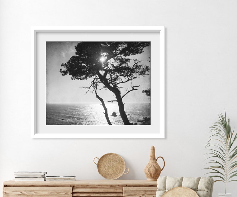 Cypress Tree Print Black and White Photography, Tree Wall Art For Living Room, Coastal Wall Art Decor, Nature Photography 8x10 16x20 Print image 3