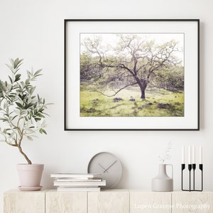 Oak Tree Landscape Print Landscape Photography, Dreamy Woodland Wall Art, Nature Photography Print, 8x10 16x20, Rustic Wall Art image 4