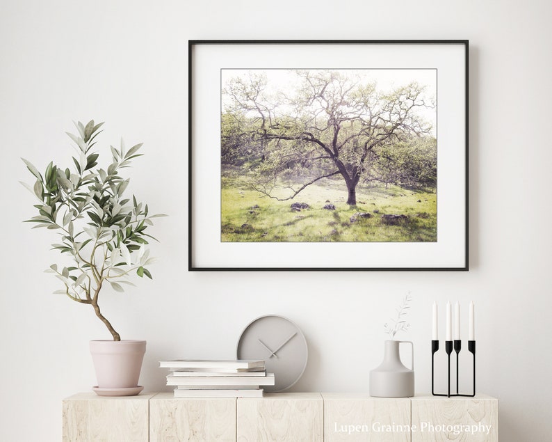 Oak Tree Landscape Print Landscape Photography, Dreamy Woodland Wall Art, Nature Photography Print, 8x10 16x20, Rustic Wall Art image 4