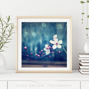 Botanical Photography Plum Blossoms Print, Flower Photography, Pink Blue Wall Art, Floral Wall Art, 8x10 8x8 11x14, Indigo Blue Art image 3