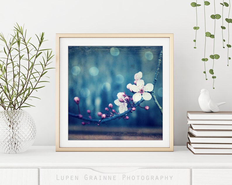 Botanical Photography Plum Blossoms Print, Flower Photography, Pink Blue Wall Art, Floral Wall Art, 8x10 8x8 11x14, Indigo Blue Art image 3
