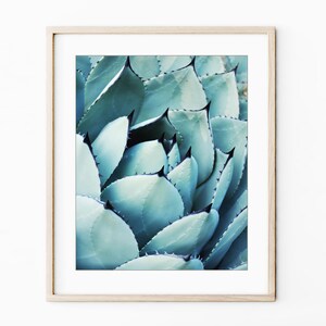 Agave Leaf Prints - Blue Green Wall Art, Botanical Nature Photography, Living Room Art, 8x10 11x14 Prints - Save 30% bild 7
