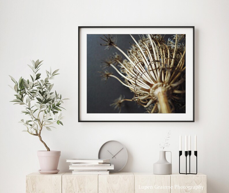 May include: A framed photograph of a dried flower head with a dark background. The flower is beige and brown, with delicate, radiating stems. The photograph is displayed on a white wall above a wooden cabinet, with a potted plant, clock, books, and candles.