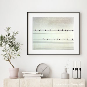 Birds on Wires Print Fine Art Photography, Black and White Wall Art, Abstract Modern Decor, 8x10 16x20 Minimal Art Print Color
