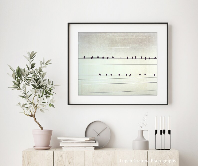 Birds on Wires Print Fine Art Photography, Black and White Wall Art, Abstract Modern Decor, 8x10 16x20 Minimal Art Print Color