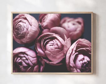 Flower Still Life Print  -  Botanical Photography - Muted Purple Pink Ranunculus Flower Print Floral Luxury Bedroom Wall Art