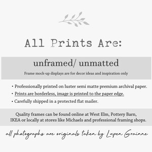 May include: A white informational graphic with grey text stating: All Prints Are: unframed/ unmatted. Frame mock-up displays are for decor ideas and inspiration only. Professionally printed on lustre semi matte premium archival paper. Prints are borderless, image is printed to the paper edge. All photographs are originals taken by Lupen Grainne.