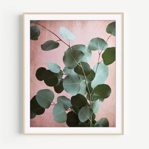 Eucalyptus Leaves Print - Botanical Print, Pink Sage Green, Leaf Wall Art, Nature Photography Wall Art