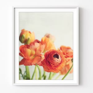 Still Life Photography Ranunculus Flowers Print Floral Wall Art Vertical Print