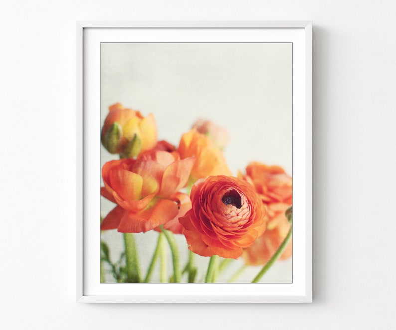 Still Life Photography Ranunculus Flowers Print Floral Wall Art Vertical Print